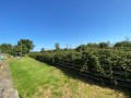 Image for Goldcliff, Newport