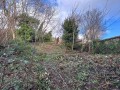 Image for Gibbs Road, Newport