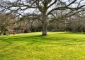 Image for Llanbadoc, Usk, Monmouthshire