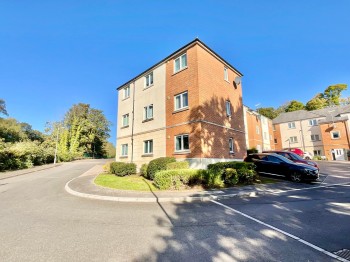 Golden Mile View, Newport