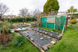 Allotment Plot, Brighton Terrace, Douglas, Isle of Man, IM1 4AP