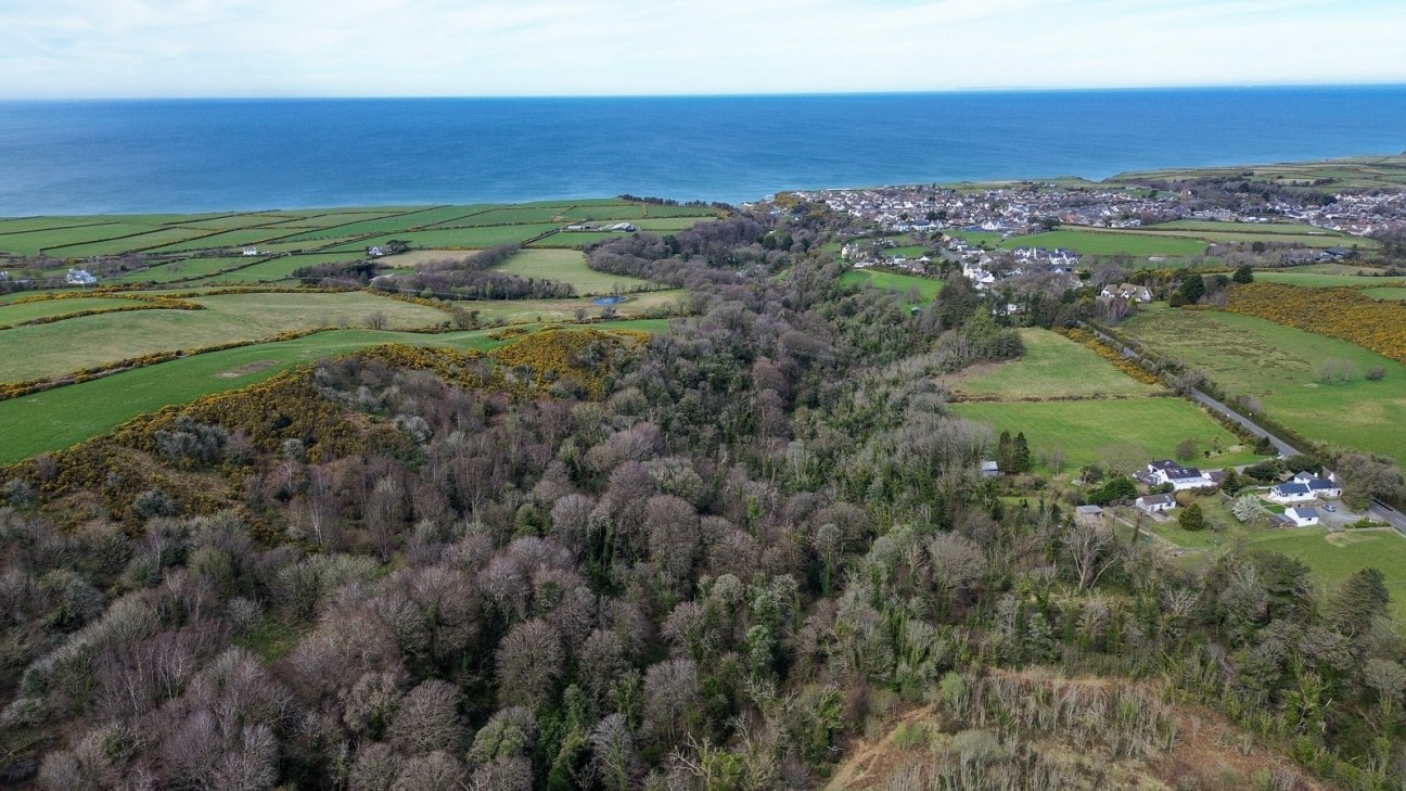 Reneurling, Douglas Road, Kirk Michael, Isle of Man, IM6 1AU