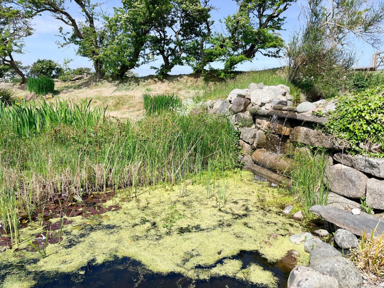 Ballacregga Farm, The Barn, Lhen Road, Bride, IM7 4BF