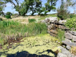 Ballacregga Farm, The Barn, Lhen Road, Bride, IM7 4BF