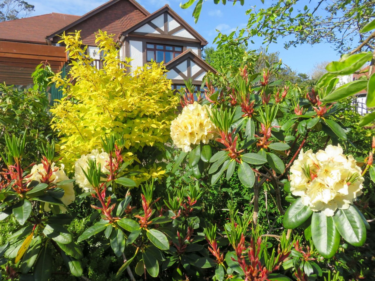 Fo Glion, 4, Lucerne Court, Douglas, IM2 6BJ