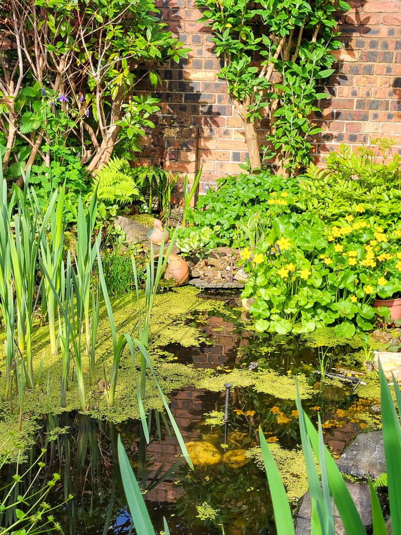 Fo Glion, 4, Lucerne Court, Douglas, IM2 6BJ