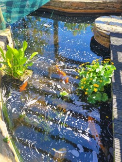 Fo Glion, 4, Lucerne Court, Douglas, IM2 6BJ