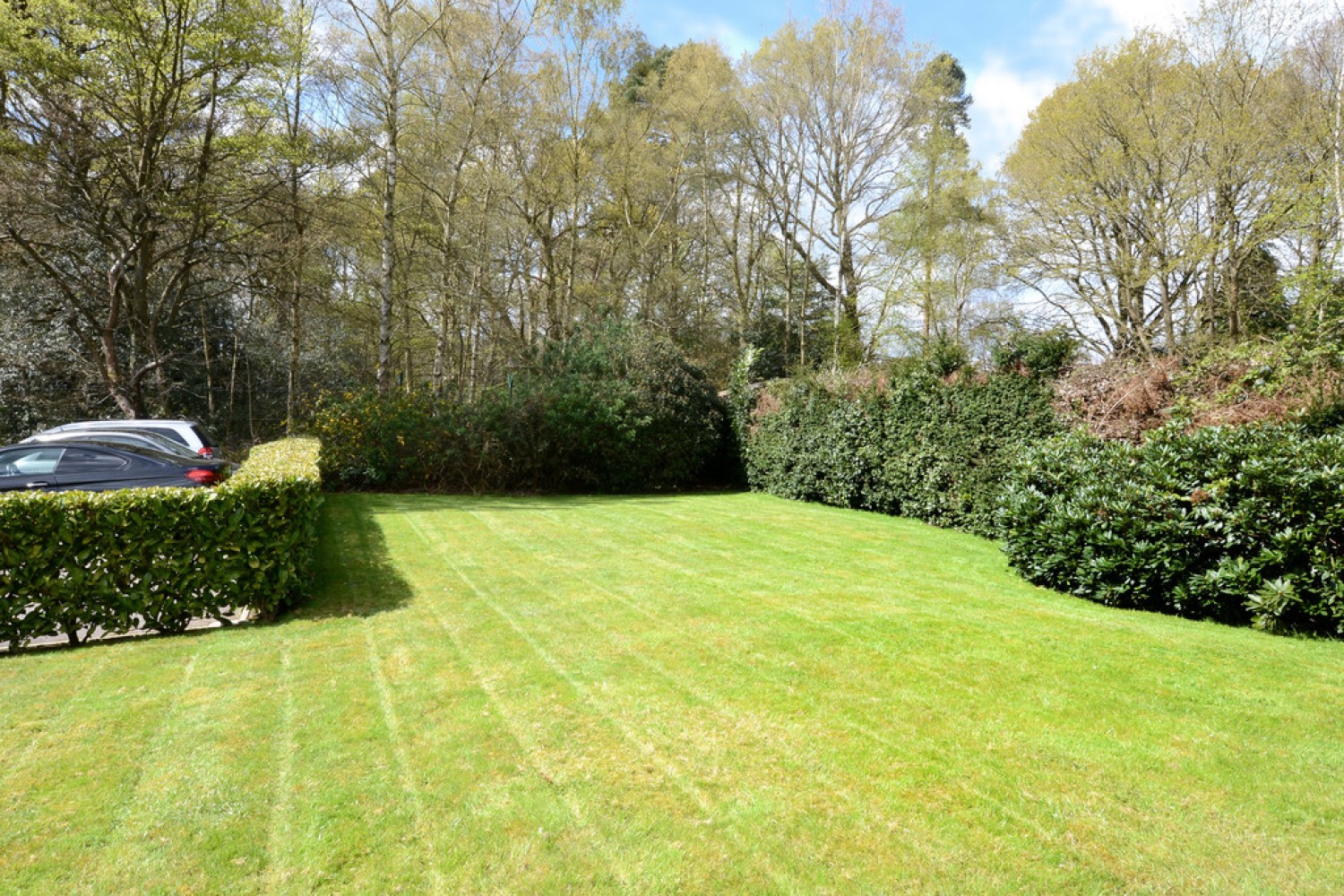 Kings Ride, Camberley