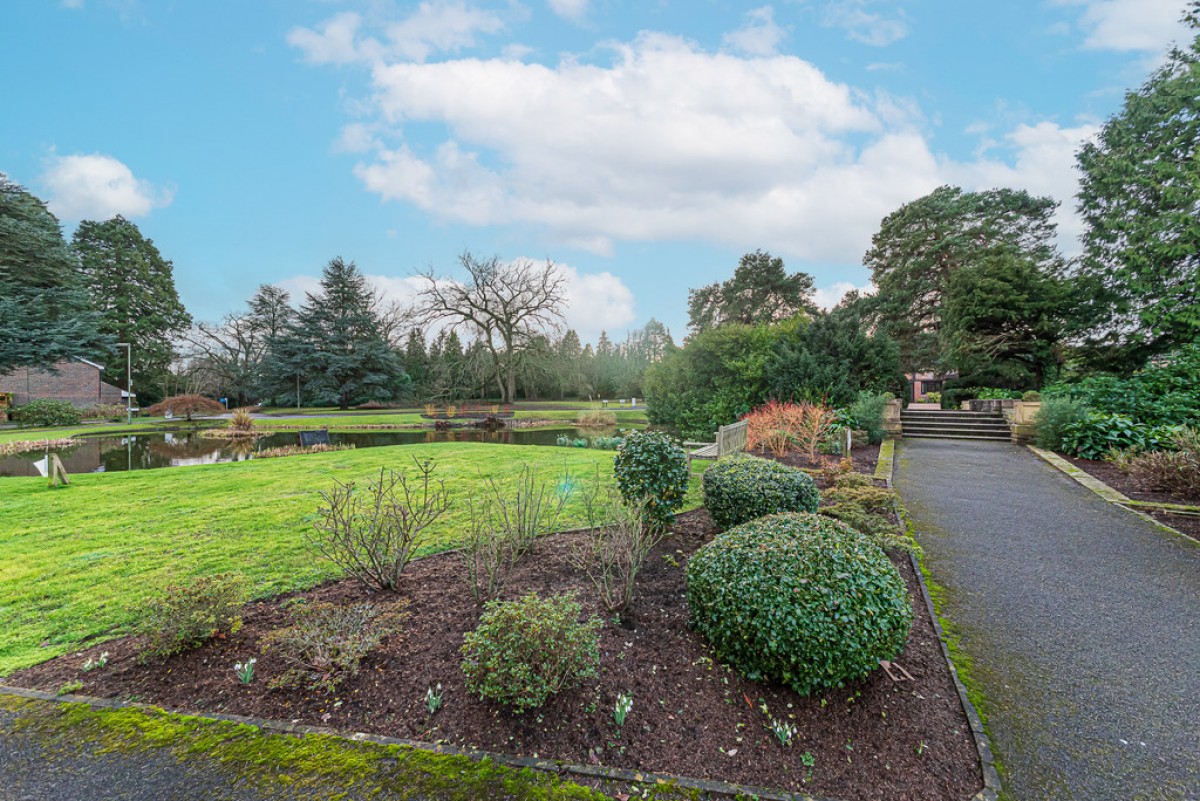 Ivy Drive, Lightwater