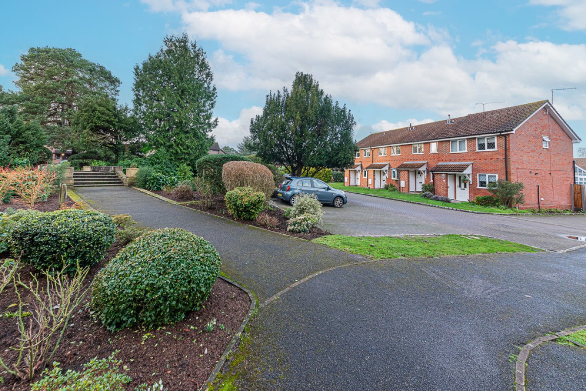 Ivy Drive, Lightwater