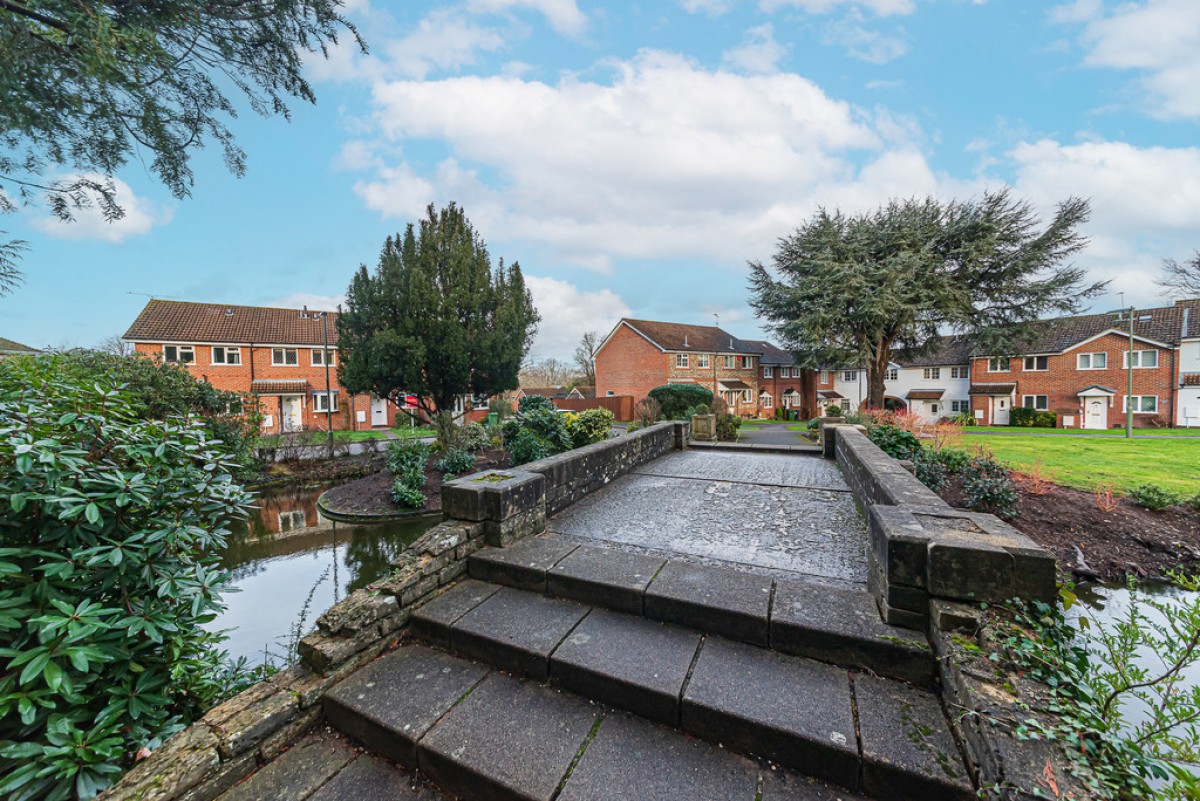 Ivy Drive, Lightwater