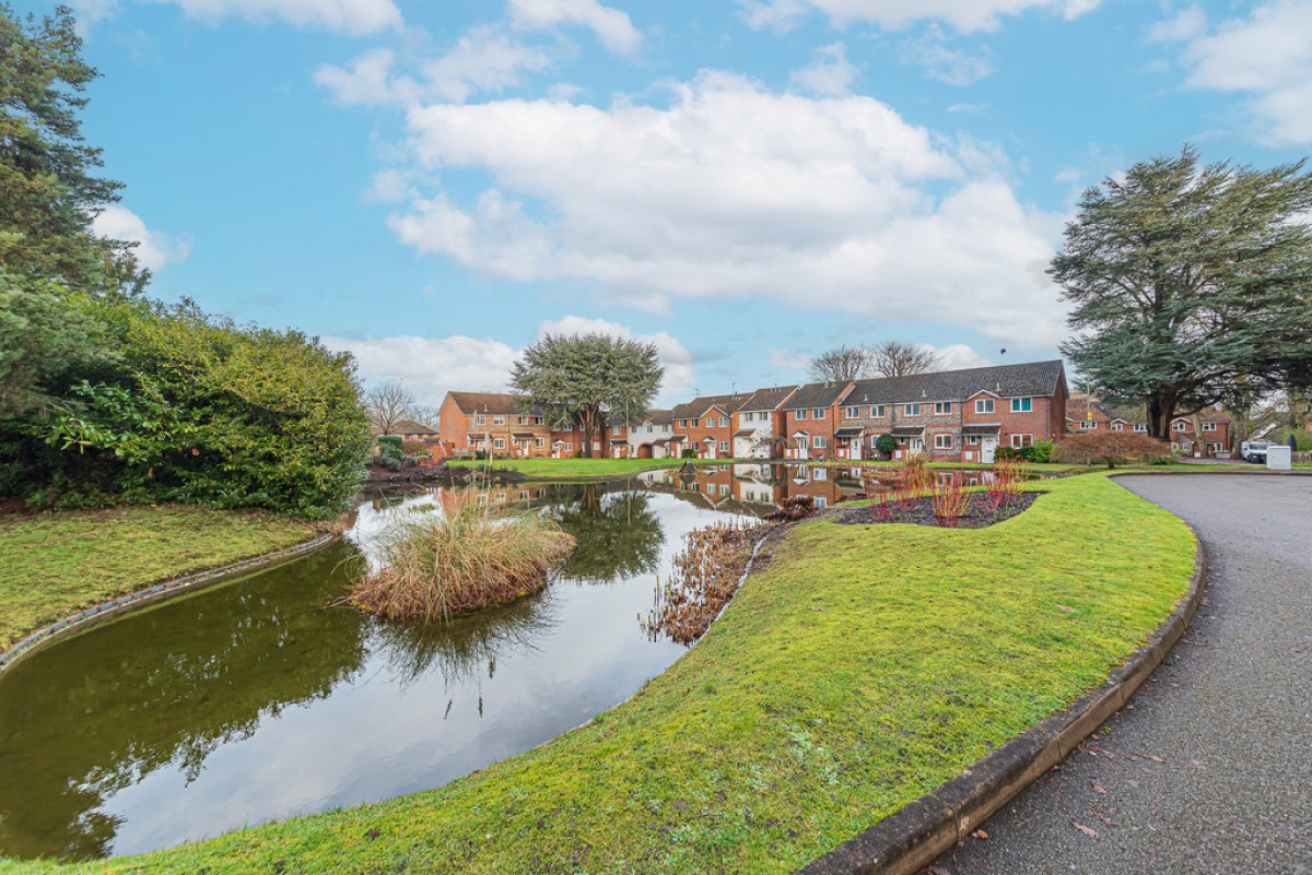 Ivy Drive, Lightwater