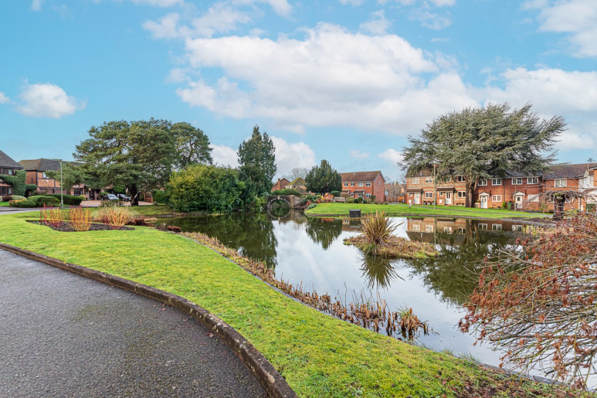 Ivy Drive, Lightwater