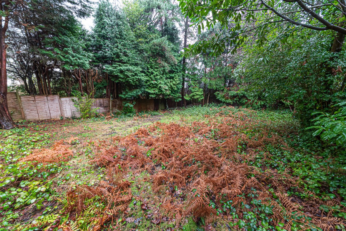 Roundway, Camberley