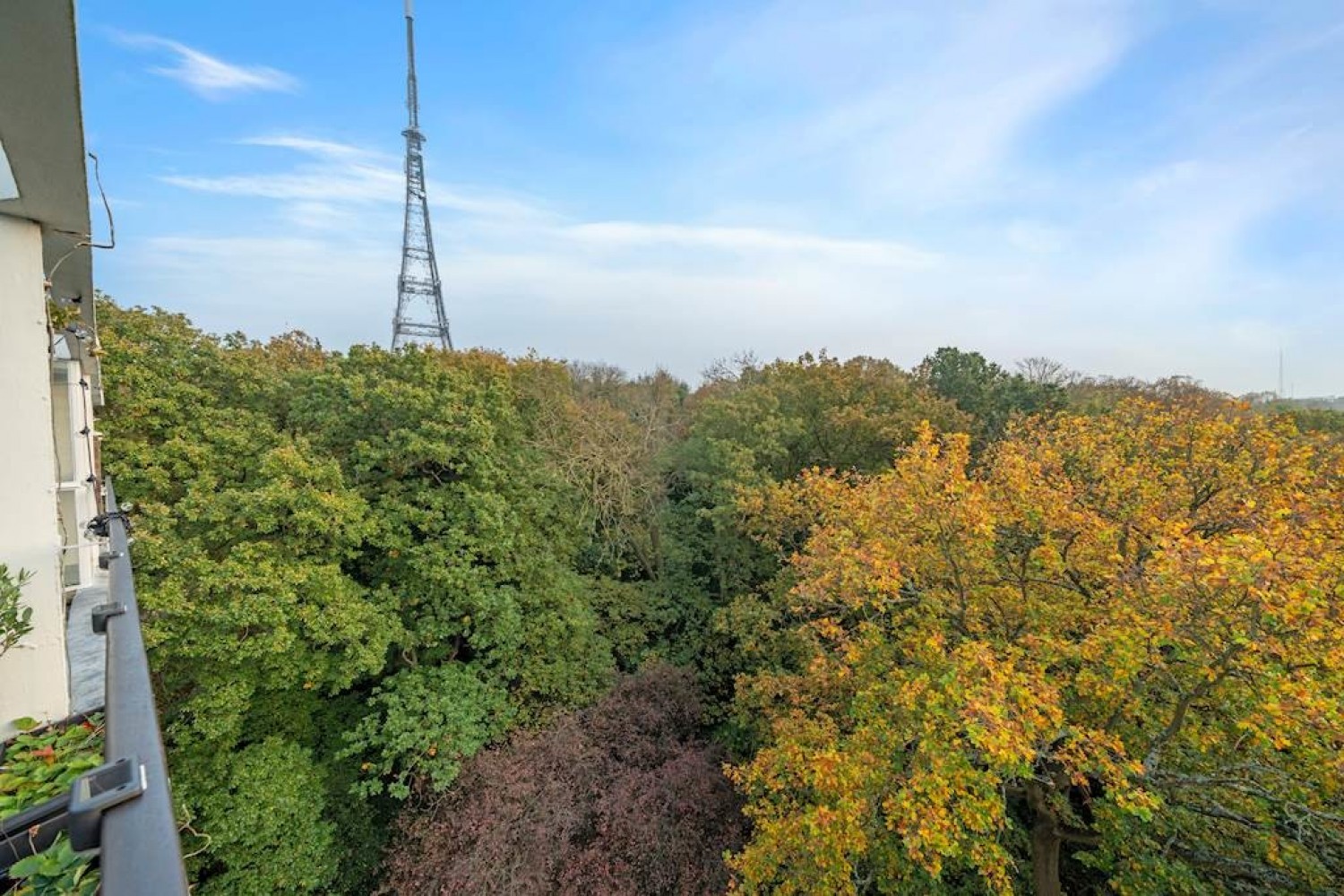 Tylney Avenue, Crystal Palace, London