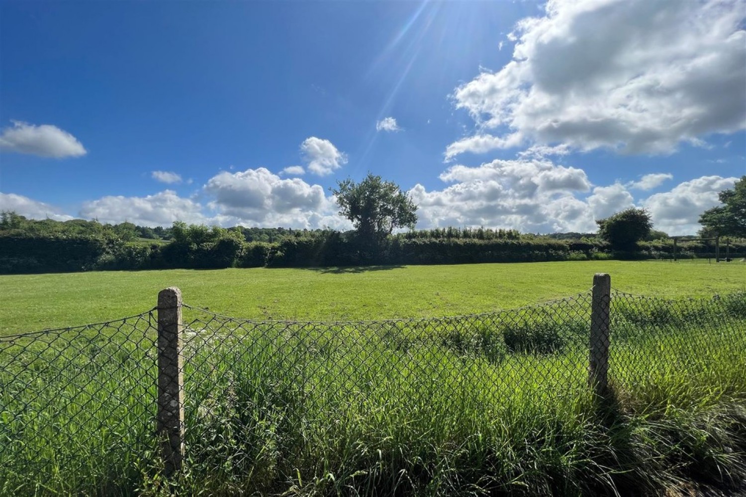 Ash Grove, Ringwood