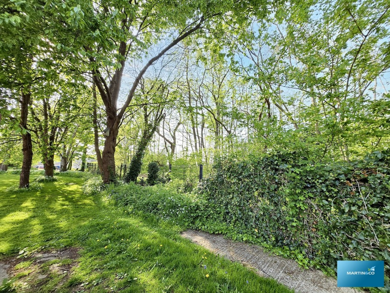 Willow Drive, Ringwood