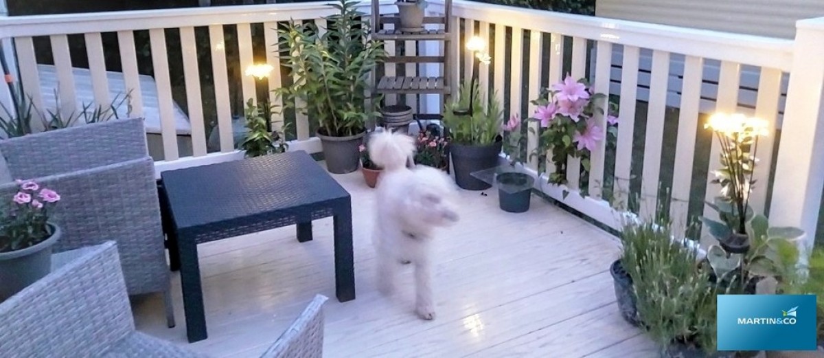 Ringwood Road, Dorset, St. Leonards