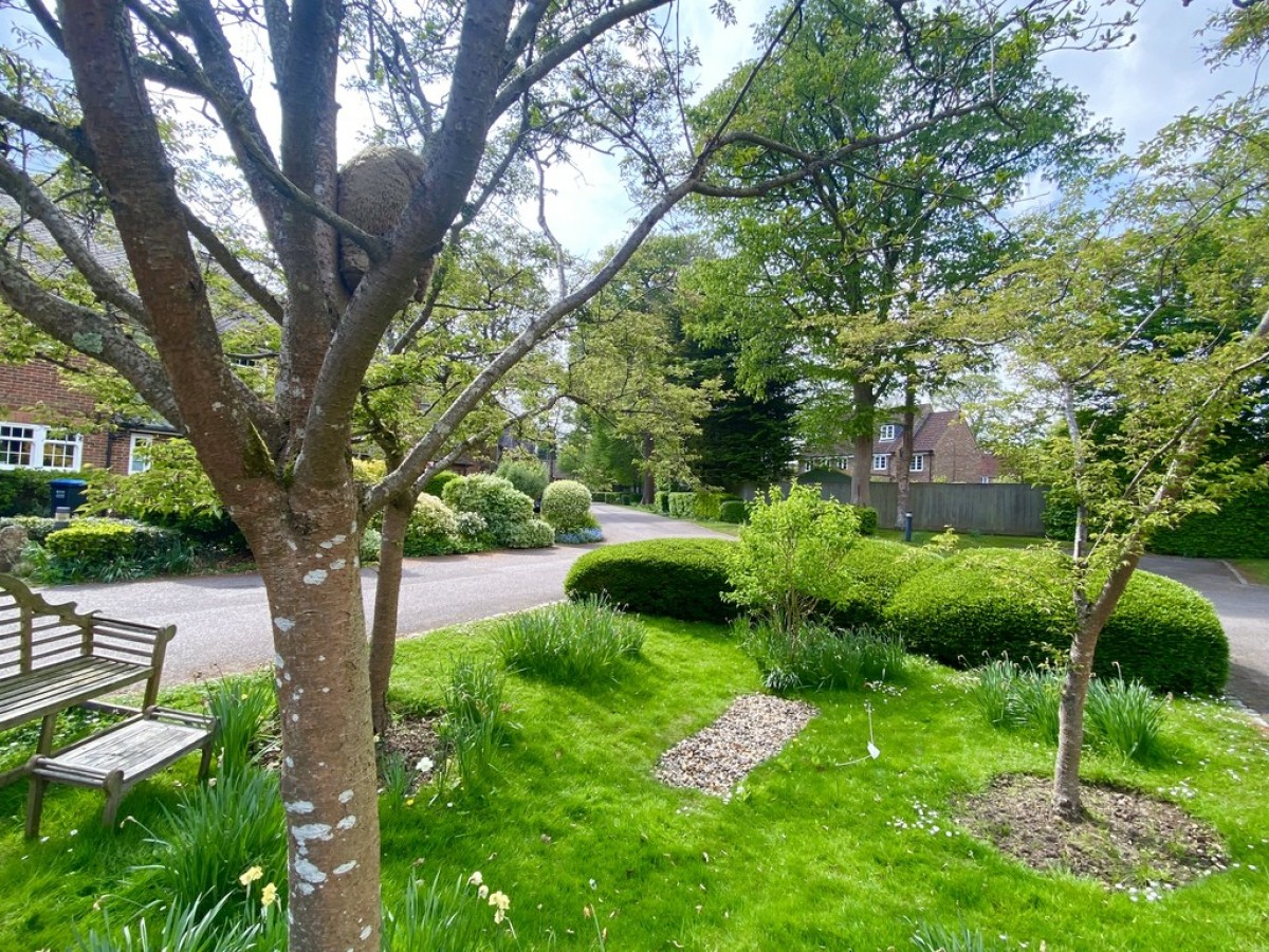 Scholars Mews, Sherrards Park