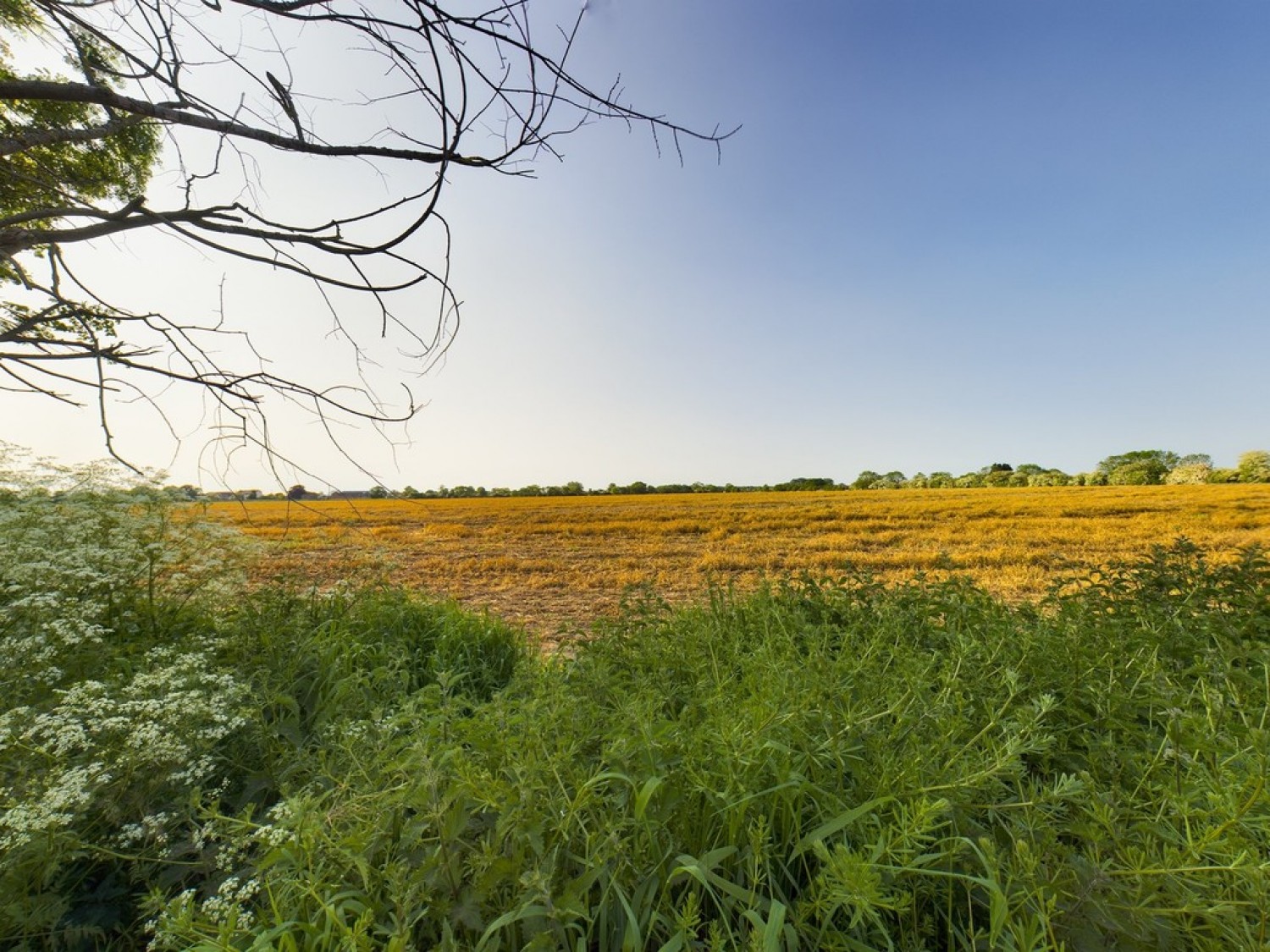 Norton, Doncaster, South Yorkshire