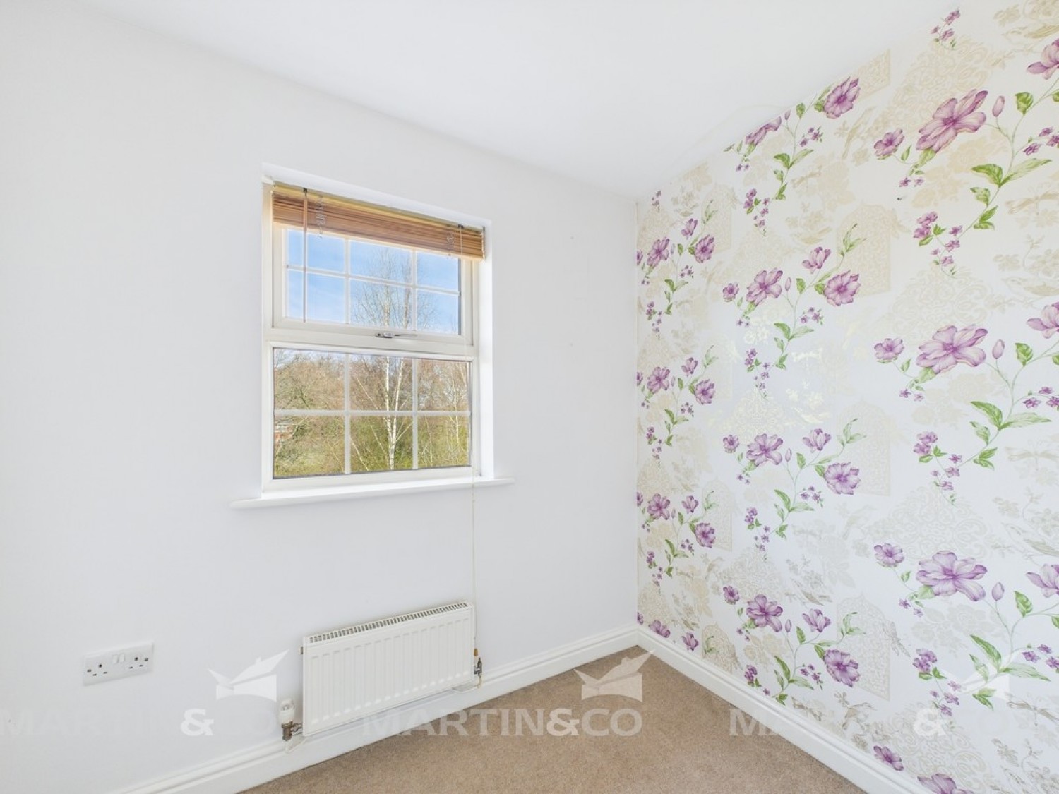 Woodfield Plantation, Doncaster, South Yorkshire