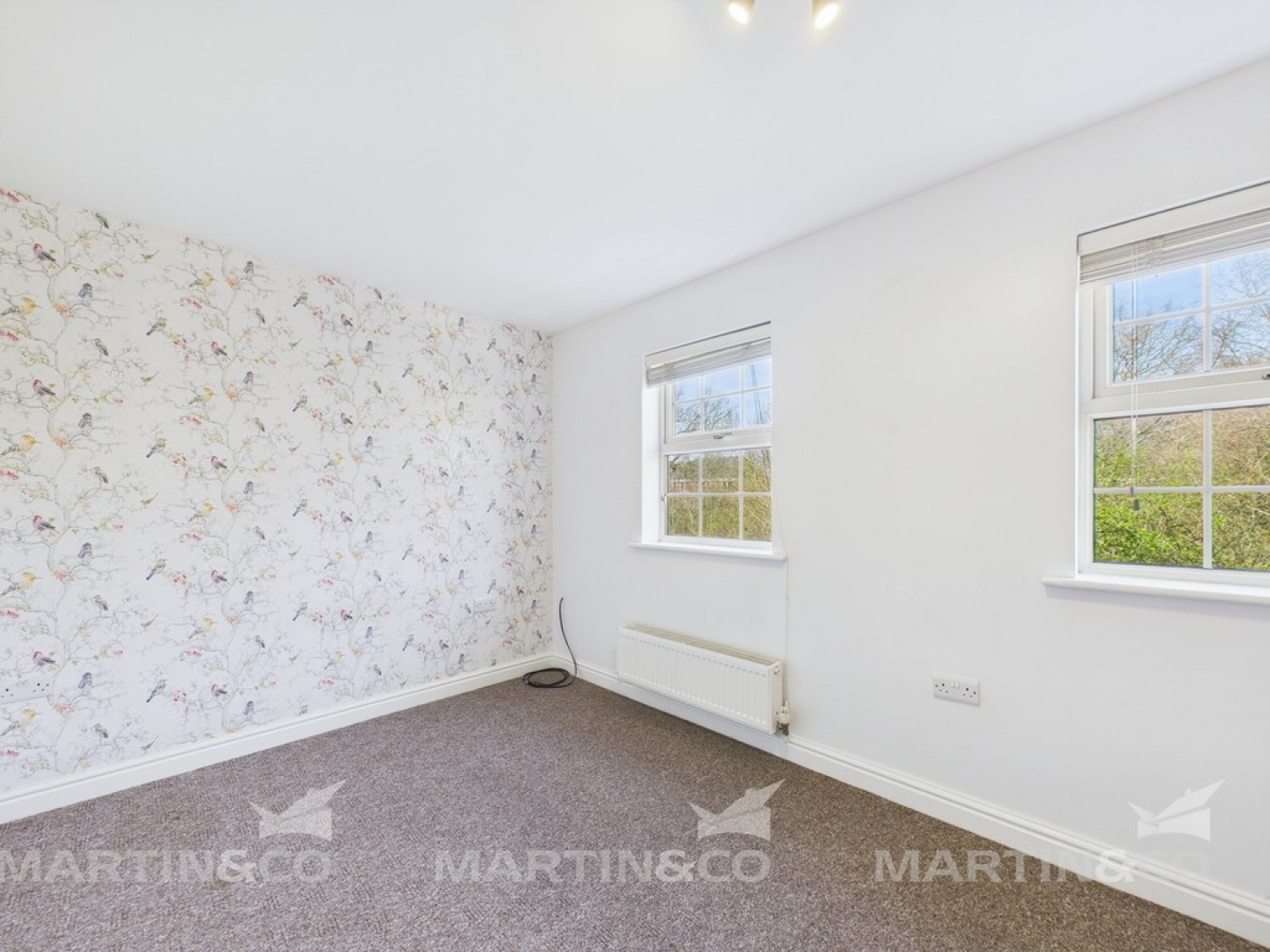 Woodfield Plantation, Doncaster, South Yorkshire