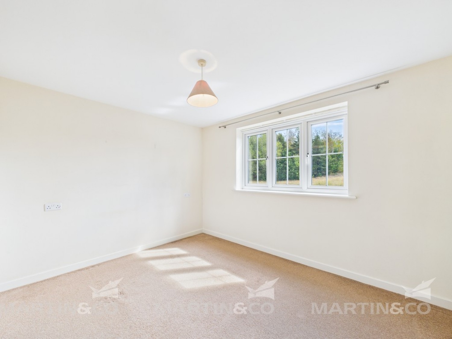 Jenkinson Grove, Armthorpe