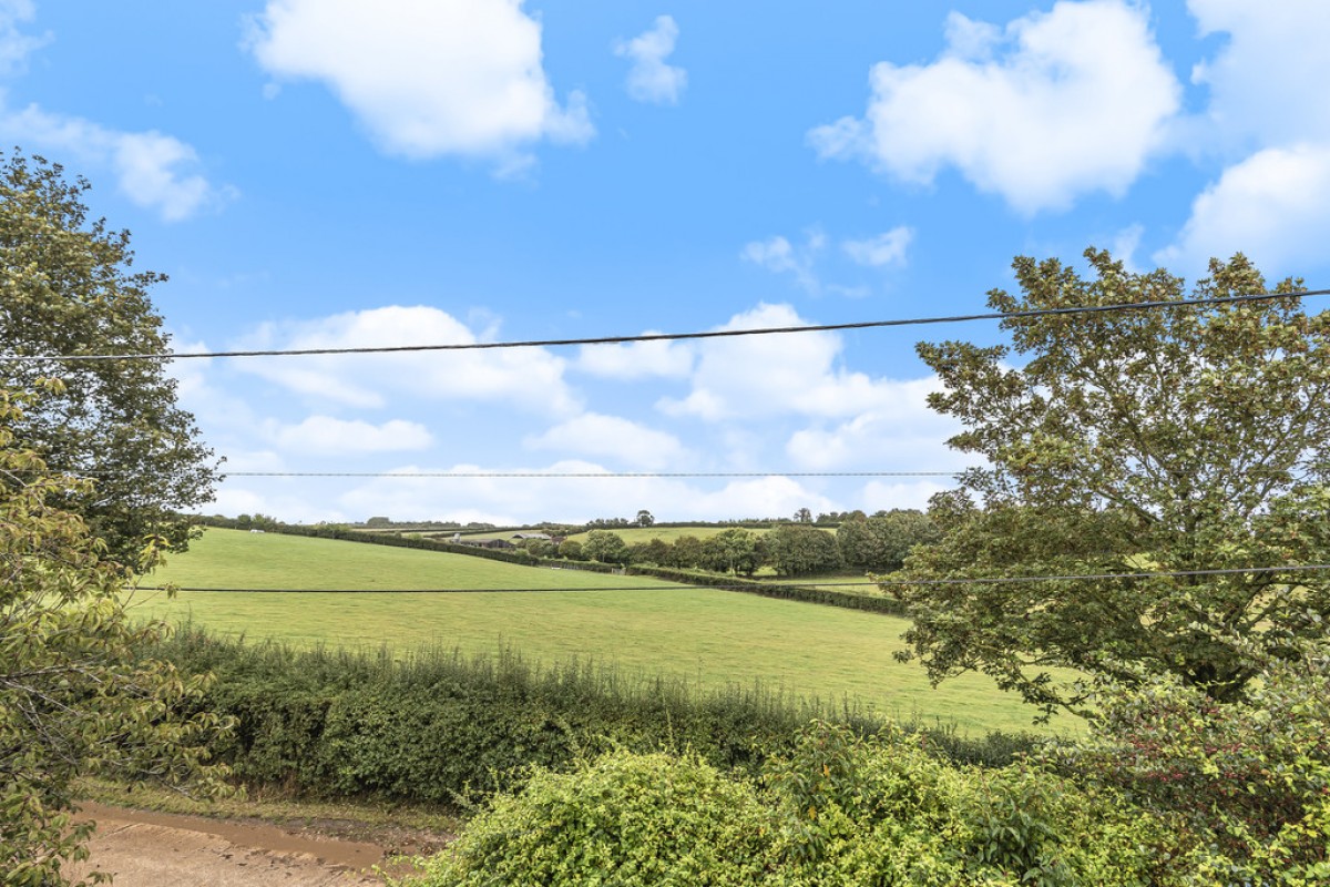 Lovedon Lane, Winchester