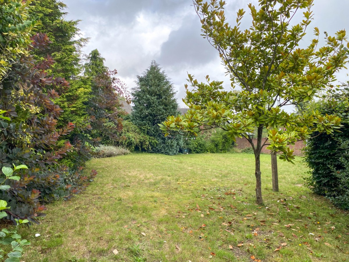 Fox Lane, Winchester