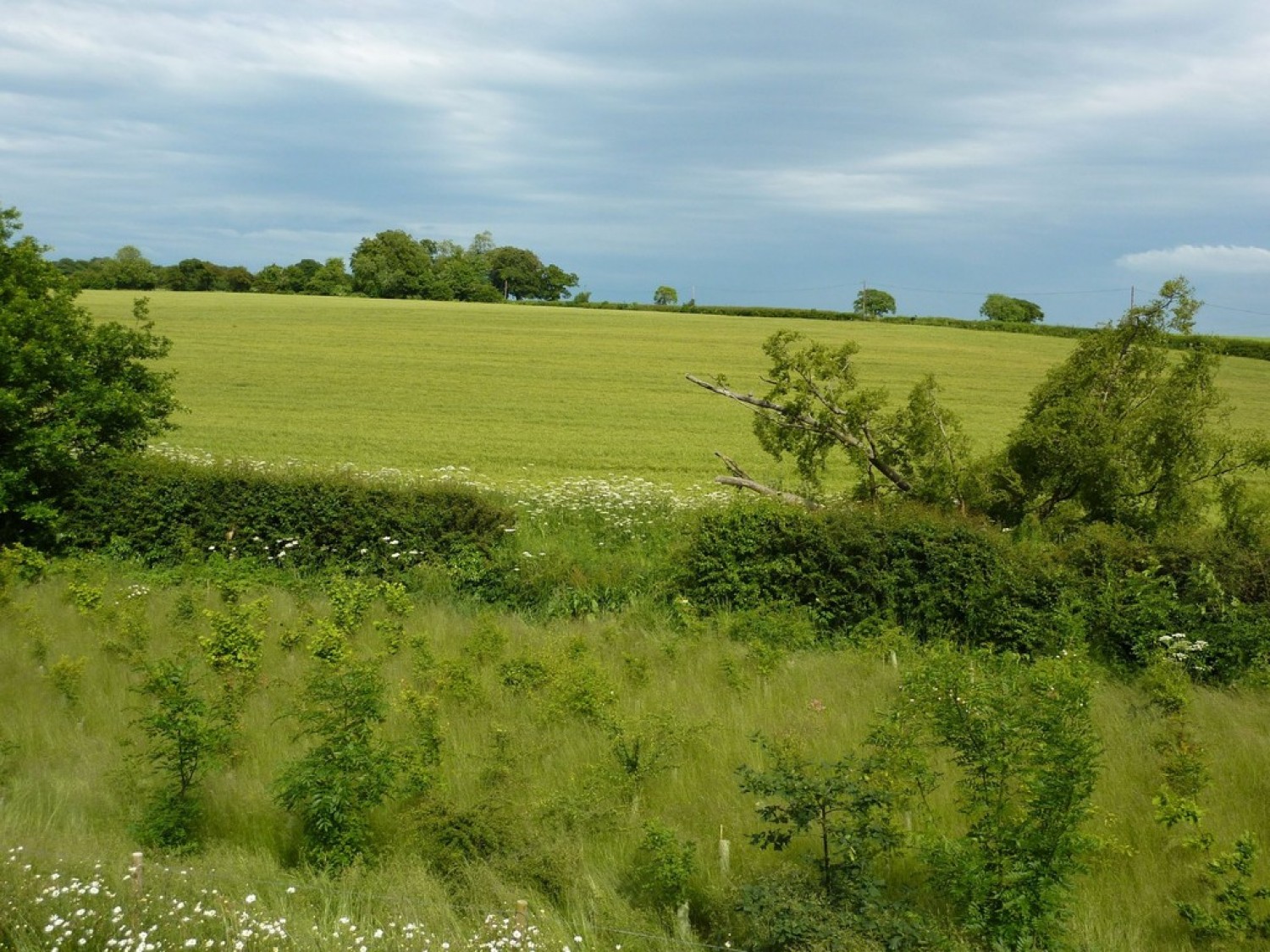 Cowslip Way, Andover