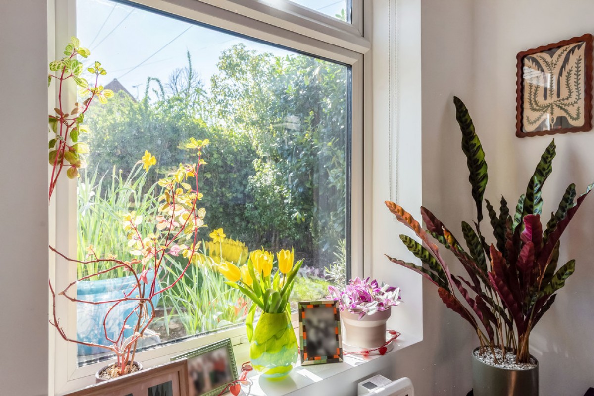 North Walls, Winchester