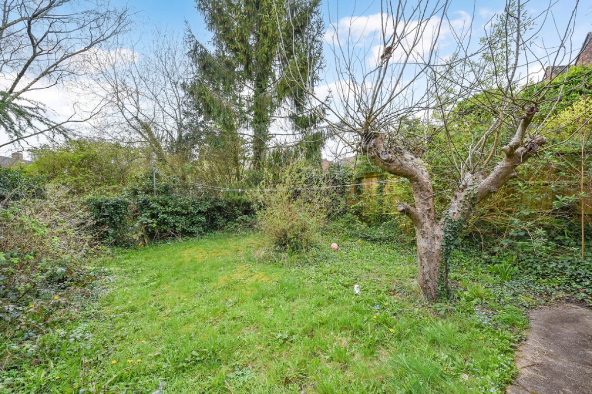 Fox Lane, Winchester