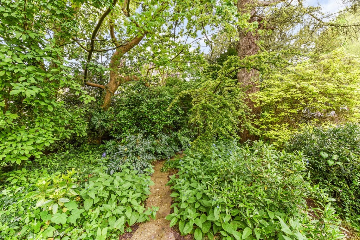 St Michaels Gardens, St Cross
