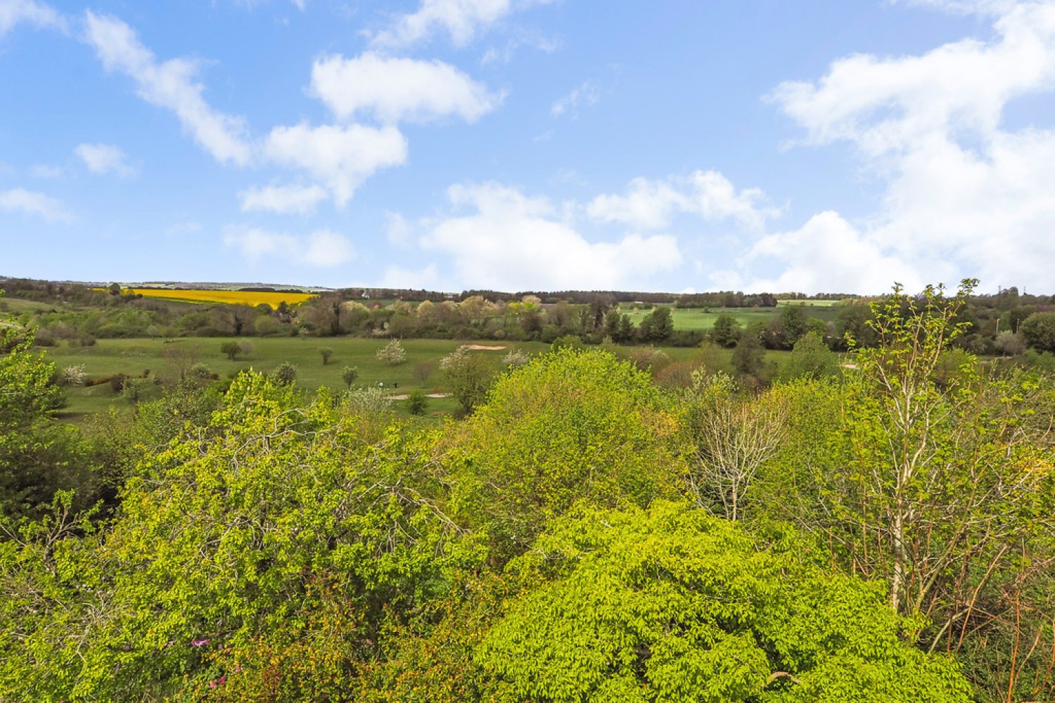 Mount View Road, SO22