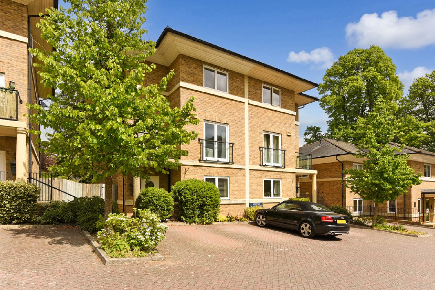 Holly Meadows, Winchester