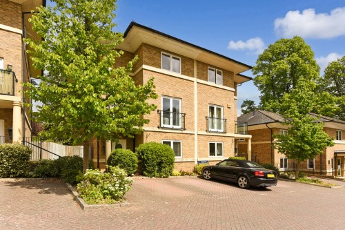 Holly Meadows, Winchester