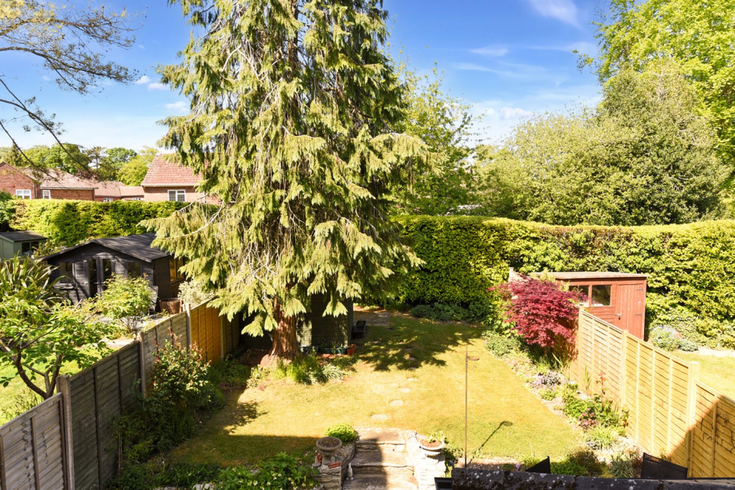 Holly Meadows, Winchester
