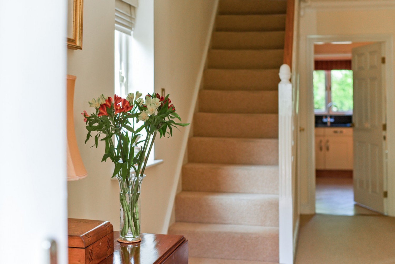 Holly Meadows, Winchester