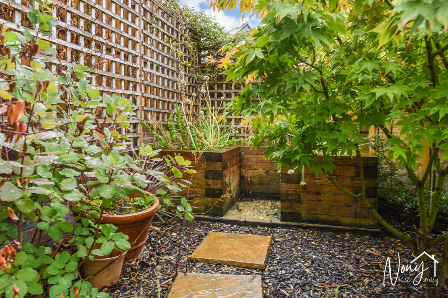 Pitt Road, WInchester Village