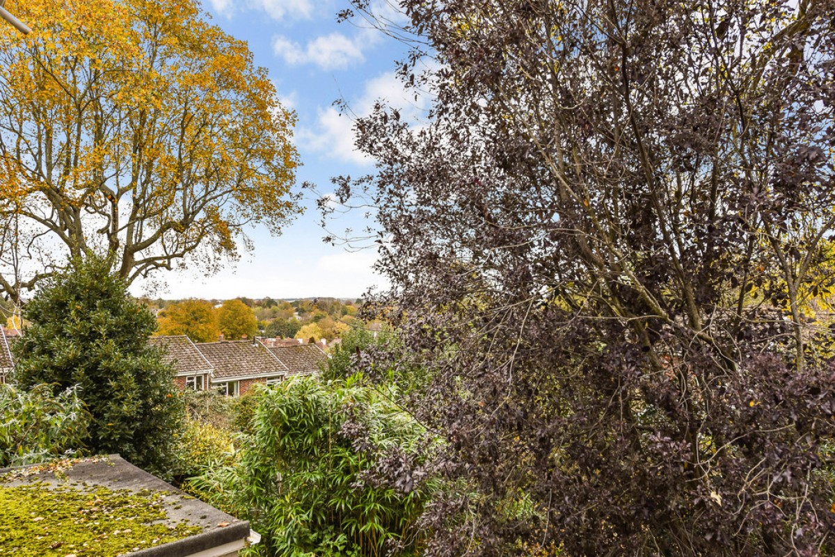 West Hill Park, Winchester