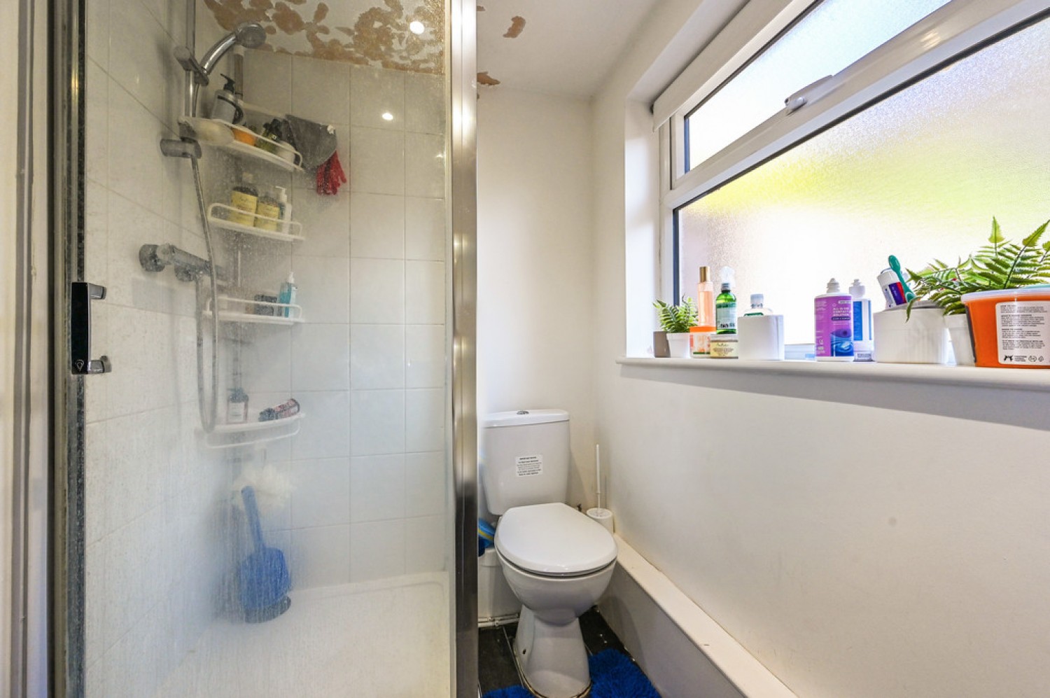 Warren Road, Winchester