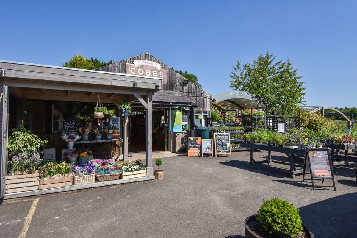 Lynn Way, Winchester