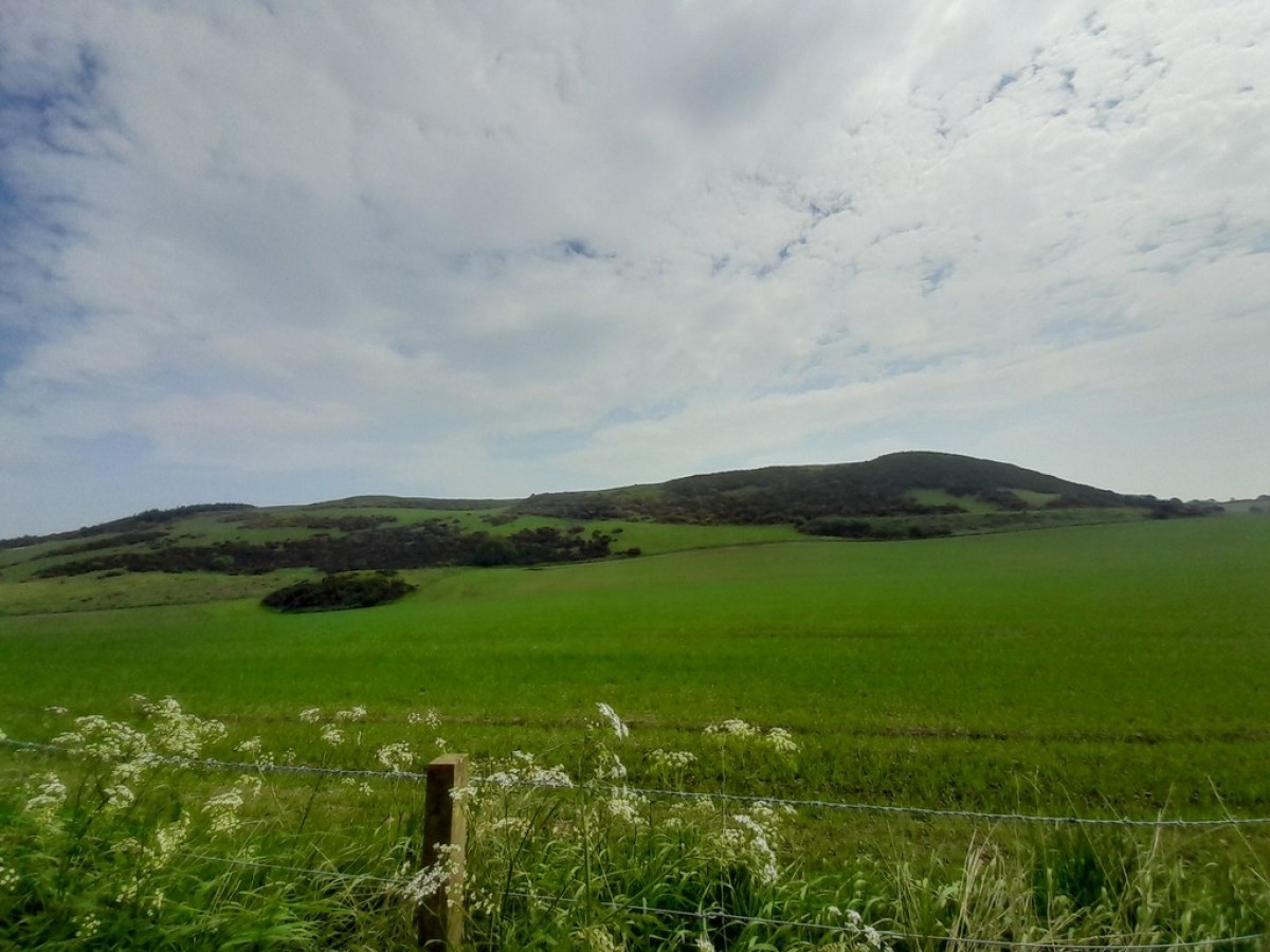 Wester Forret, by Cupar