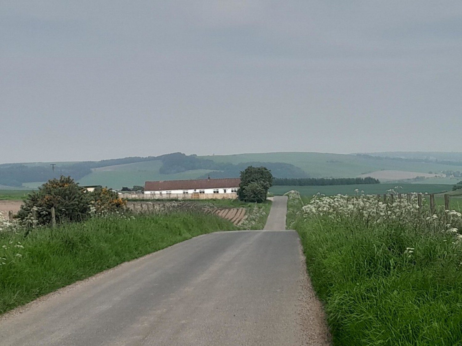 Wester Forret, by Cupar