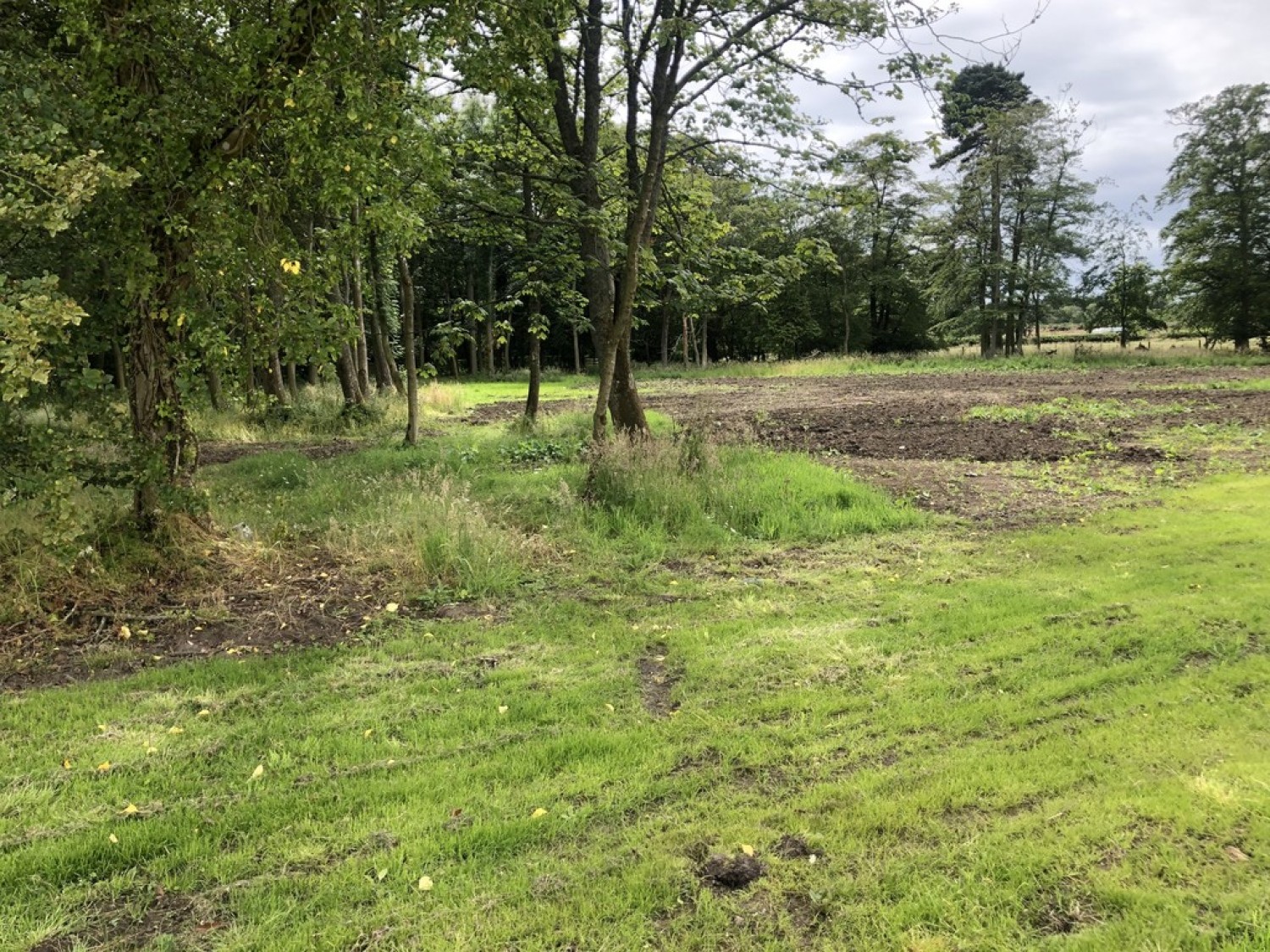 Lathockar, By St Andrews