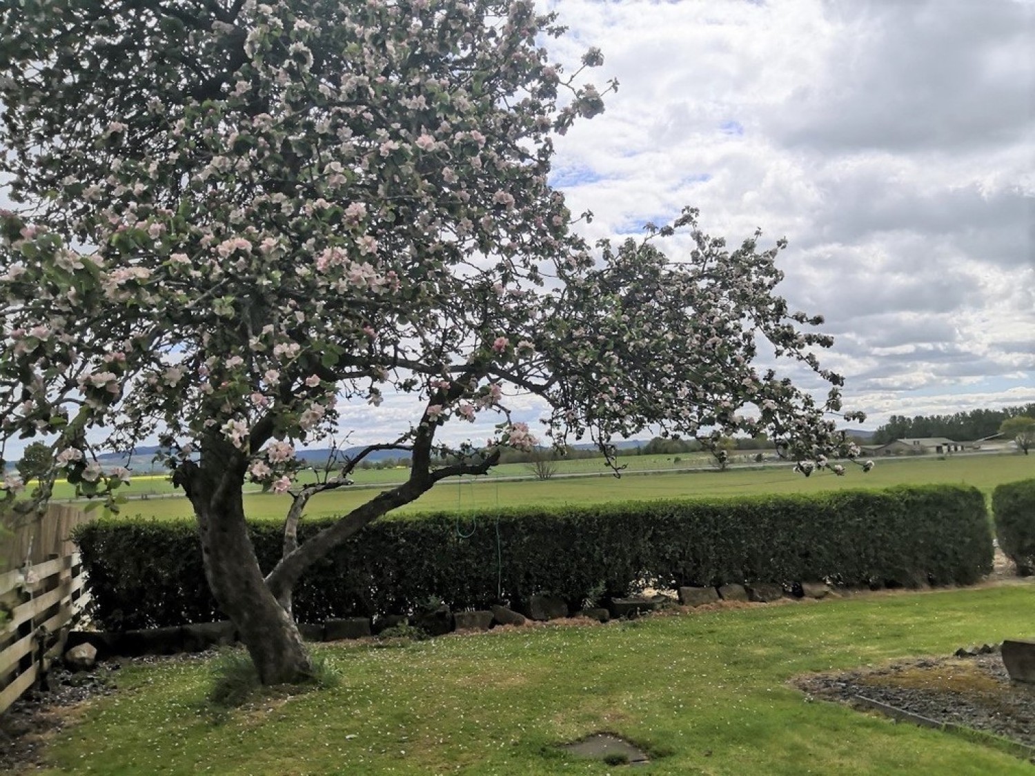 3 bedroom House for Letting South West Cottage, Middlebank Farm