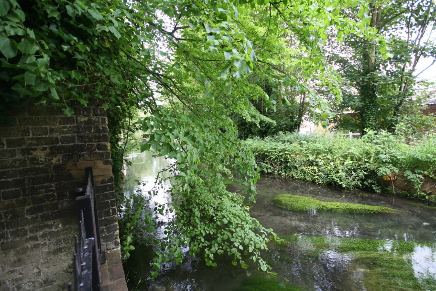 The Timber Section, London Road