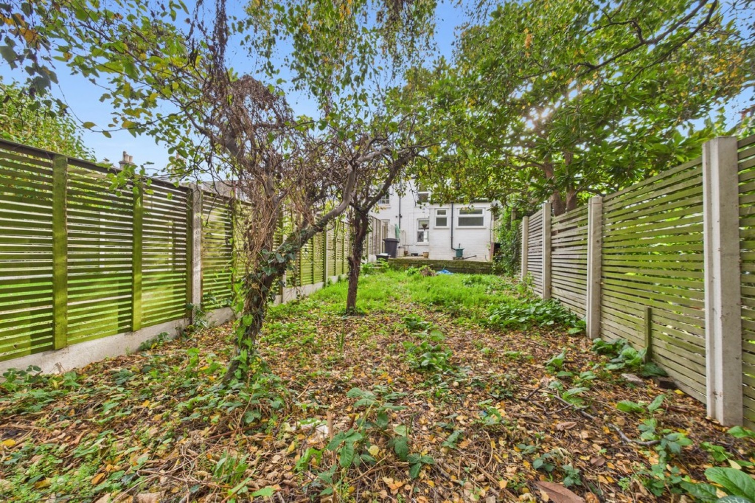 Wellington Road, Deal