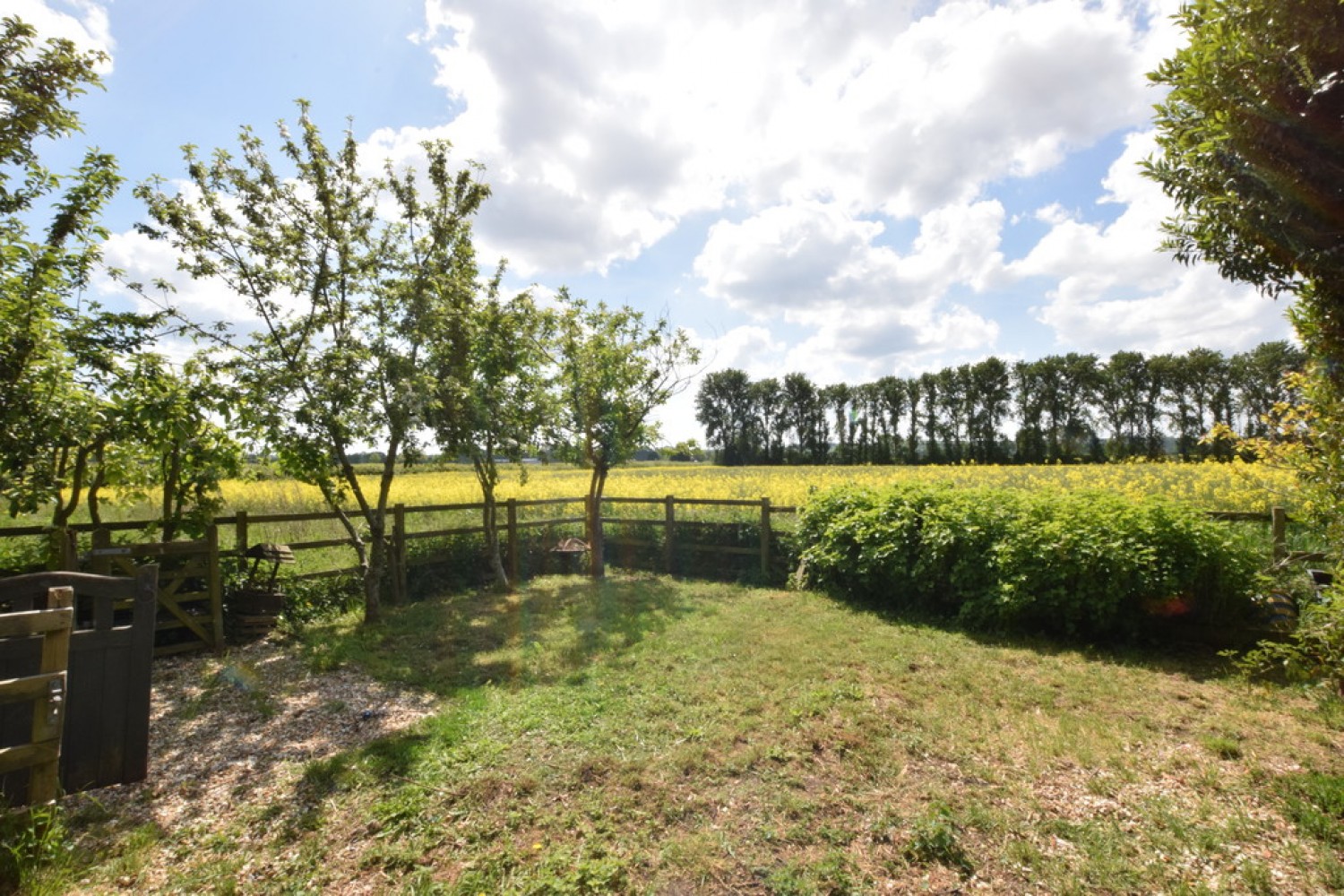 Fox's Covert, Fenny Drayton