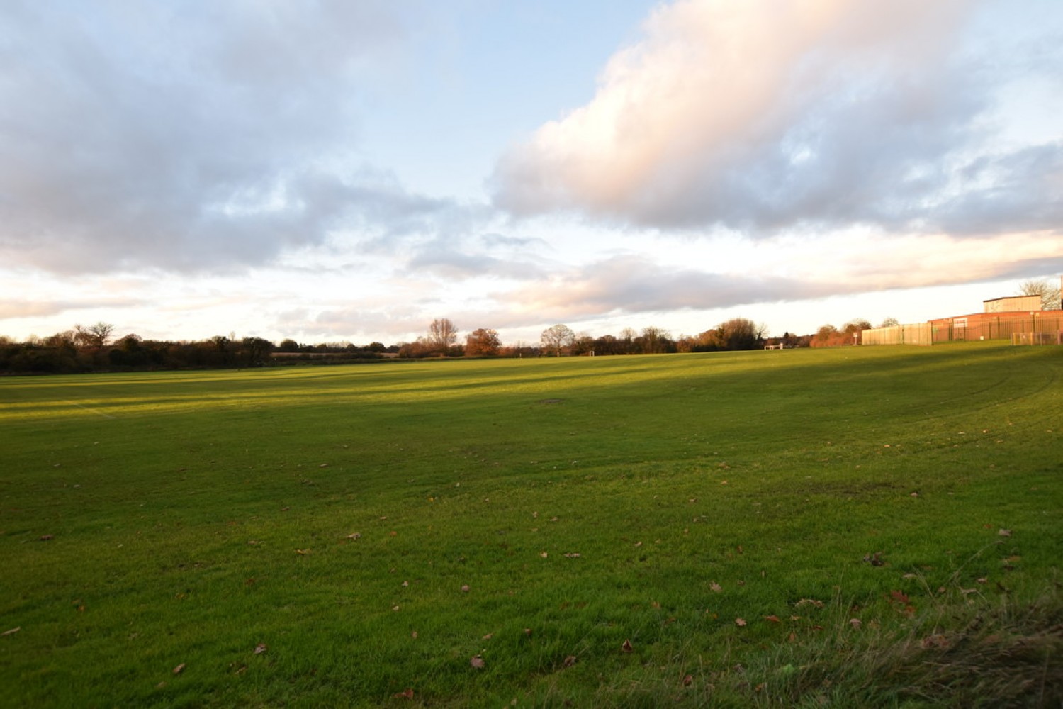 Cleaver Gardens, Nuneaton